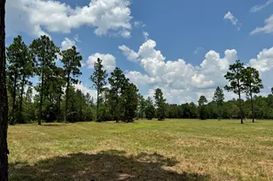 8 72 Acres Tandem Trail, Windsor, SC 29856 - Photo 1