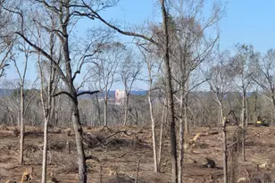 13A Atomic Rd, Beech Island, SC 29842 - Photo 1