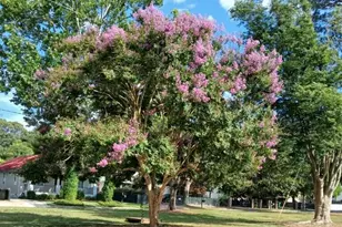 00 Chesterfield Street N, Aiken, SC 29801 - Photo 1