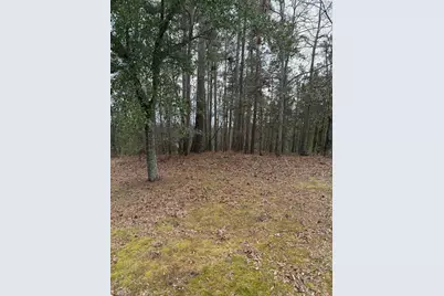 109 Golden Oak Drive, Aiken, SC 29803 - Photo 1