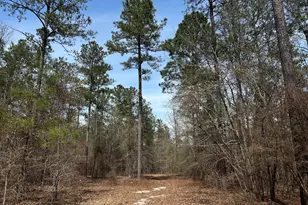 Lot 7 Cooks Pond Rd, Windsor, SC 29856 - Photo 1