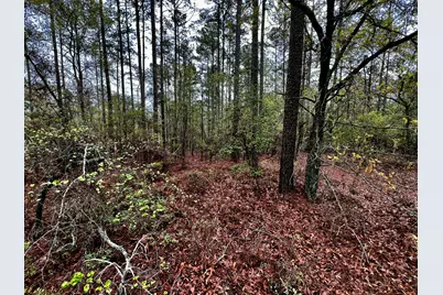 000 Lady Bank Lane, Aiken, SC 29803 - Photo 1