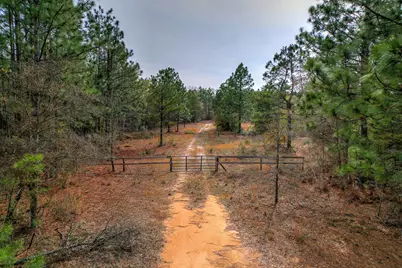 11 Acres N Windsor Road, Windsor, SC 29856 - Photo 1