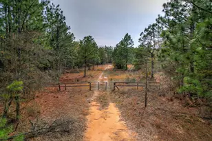 11 Acres N Windsor Rd, Windsor, SC 29856 - Photo 1