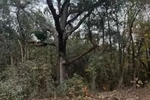 Ebh 4-1A Wendell Ln, Wagener, SC 29164 - Photo 1