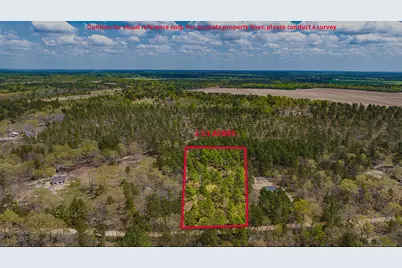Lot 4 Bluffwood Road, Wagener, SC 29164 - Photo 1
