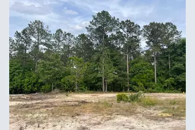 Fyf 4 Fox Young Street #Fyf 4, Wagener, SC 29164 - Photo 1