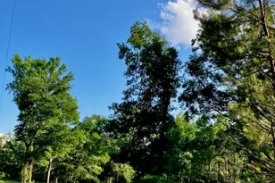 671 Lee St, Johnston, SC 29832 - Photo 1