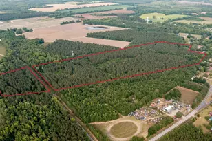 6223 Thunder Rd, Olar, SC 29843 - Photo 1