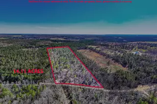 Lot 14 Bluffwood Rd, Wagener, SC 29164 - Photo 1