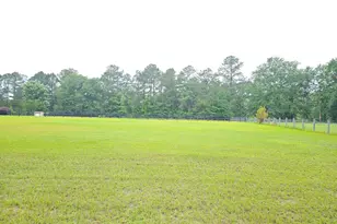 251 Flowing Well Rd, Wagener, SC 29164 - Photo 1