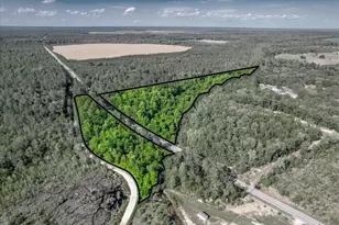 000 Davis Bridge Rd, Williston, SC 29853 - Photo 1