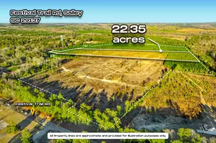 Tract 2 Festival Trail, Salley, SC 29137 - Photo 1