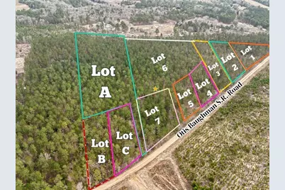 02 Otis Baughman S.R. Road #2, Wagener, SC 29164 - Photo 1