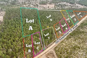 02 Otis Baughman S R Rd, Wagener, SC 29164 - Photo 1