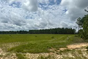 00/Tbd Snipes Pond Rd, Aiken, SC 29805 - Photo 1