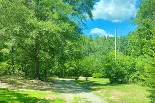 145 Magpie St, Wagener, SC 29164 - Photo 1