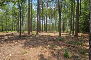 Lot 4 Snipes Rd, Aiken, SC 29801 - Photo 1