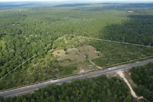 922 Seivern Rd, Wagener, SC 29164 - Photo 1