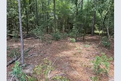 Qaf 4 Rainbow Drive #Qaf 4, Wagener, SC 29164 - Photo 1