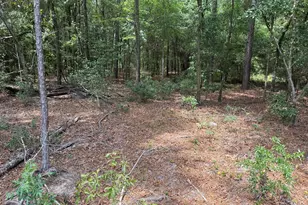 Qaf 4 Rainbow Dr, Wagener, SC 29164 - Photo 1