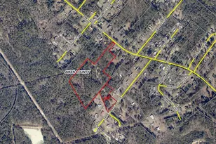 0 Piney Heights Rd, Warrenville, SC 29851 - Photo 1