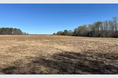 Tract 1 Buttercup Drive, Ward, SC 29166 - Photo 1