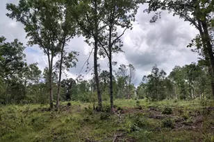 00576 Red Hill Rd, Edgefield, SC 29824 - Photo 1