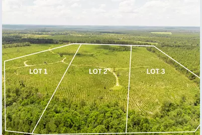 Lot 2 Three Notch Road, Monetta, SC 29105 - Photo 1