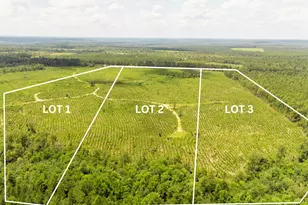 Lot 2 Three Notch Rd, Monetta, SC 29105 - Photo 1