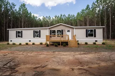 832 Horses Neck Road, Sandy Run, SC 29160 - Photo 1