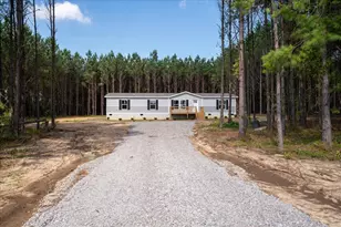 852 Horses Neck Rd, Sandy Run, SC 29160 - Photo 1