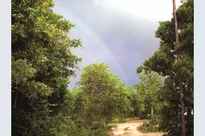 Tbd Pottery Mill Drive, Trenton, SC 29847 - Photo 1