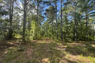 33Ac Crosscreek Rd, Edgefield, SC 29824 - Photo 1