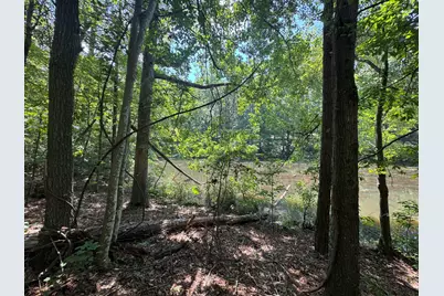 Lot 2 Cardinal Drive, Trenton, SC 29847 - Photo 1