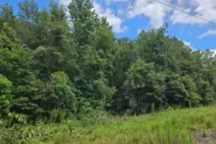 84 Bay St, Beech Island, SC 29842 - Photo 1