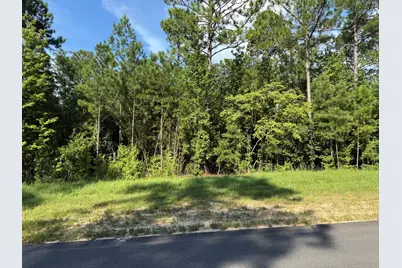 Lot 48 Pasture Creek Lane, Aiken, SC 29803 - Photo 1