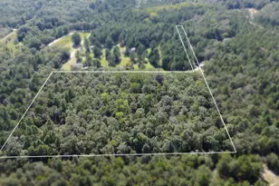 Tbd Bubba Gunter Rd, Wagener, SC 29164 - Photo 1