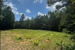 Lot N1 Old Edgefield Rd, Ninety Six, SC 29666 - Photo 1