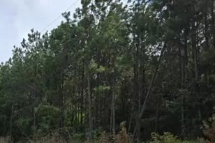 190 Old Edgefield Rd, Ninety Six, SC 29666 - Photo 1