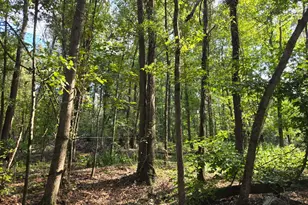 Lot B Atomic Rd, Beech Island, SC 29842 - Photo 1