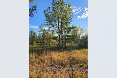 Tbd Hamilton Branch Way, Aiken, SC 29803 - Photo 1