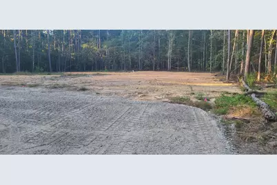 12288 Bloomville Road, Manning, SC 29102 - Photo 1