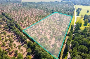 Lot 4 Camp Rawls & Bluffwood Rd, Wagener, SC 29164 - Photo 1