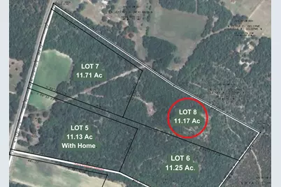 Lot 8 11.17 Ac State Park Road, Windsor, SC 29856 - Photo 1