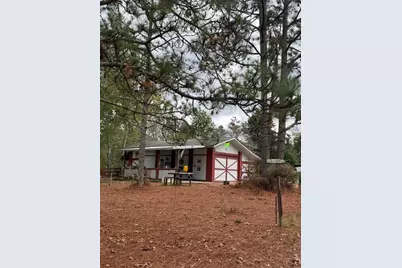 609 / 613 Pine Grove Road, Batesburg-Leesville, SC 29070 - Photo 1