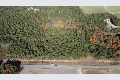 00 Old Charleston Road, Pelion, SC 29123 - Photo 1