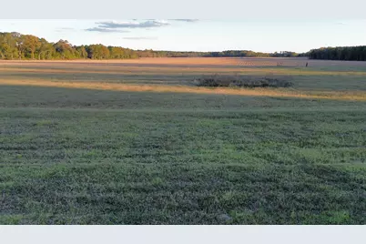 Tbd Binnicker Bridge Road, Cope, SC 29038 - Photo 1