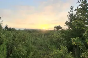 400 Bowie Rd, Troy, SC 29848 - Photo 1