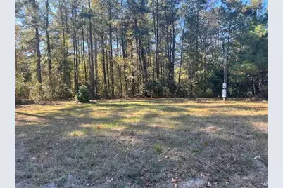 Tbd Hwy 78, Williston, SC 29853 - Photo 1